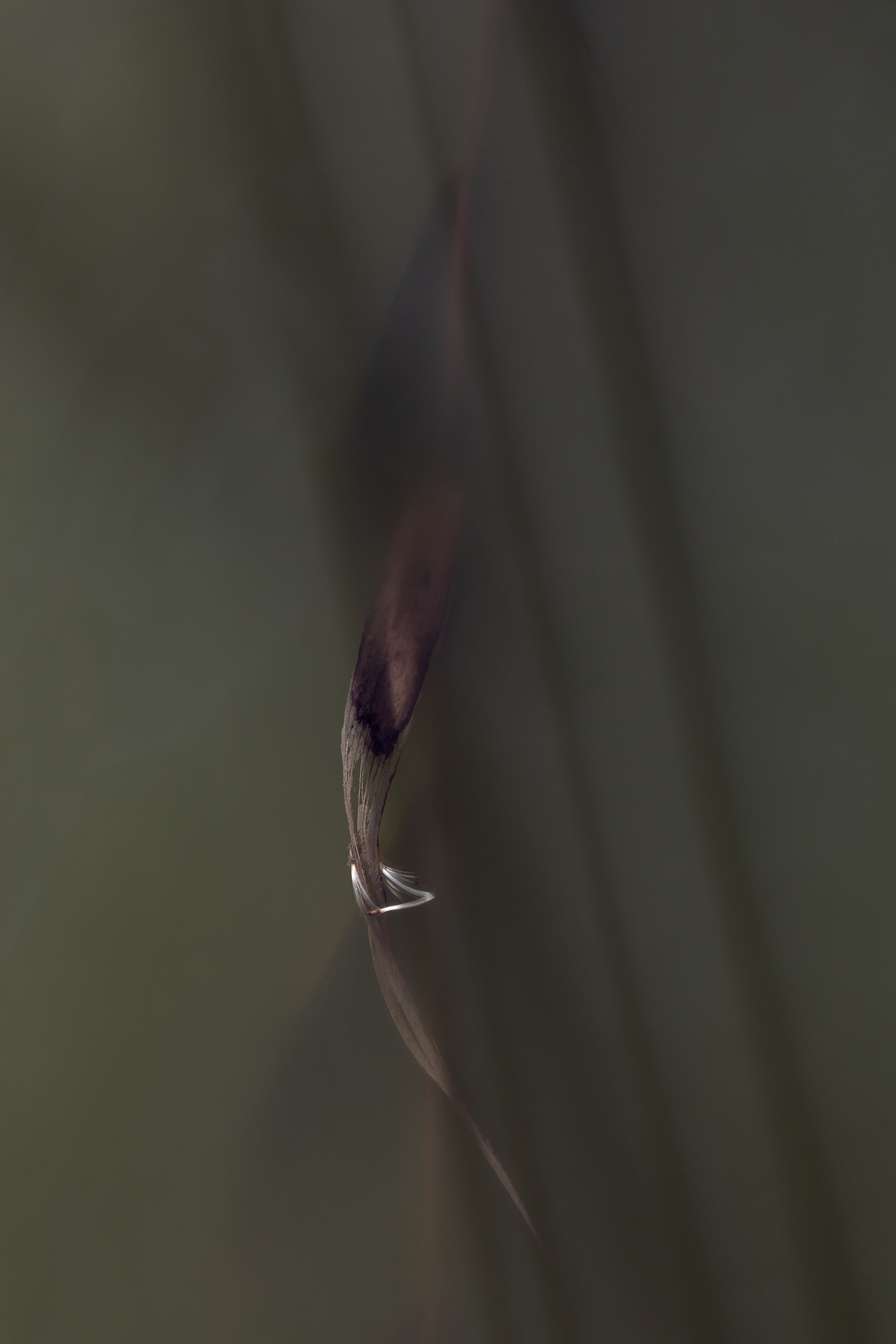 Homepage photo home-eadym_shadow.jpg